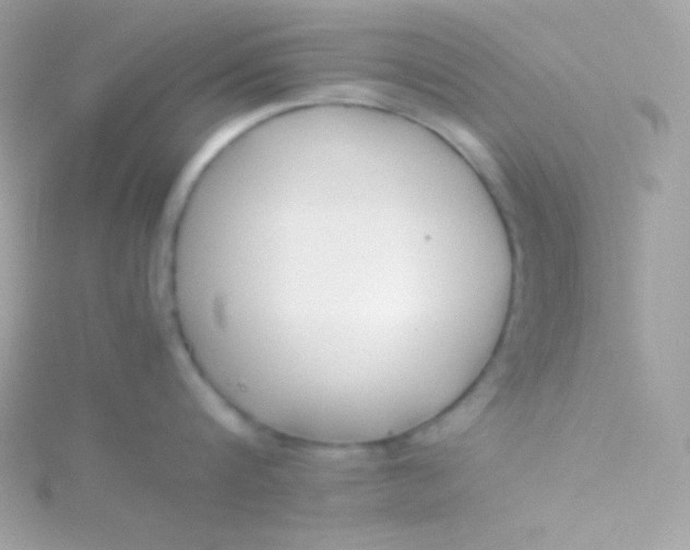 X0000115740816200911251958