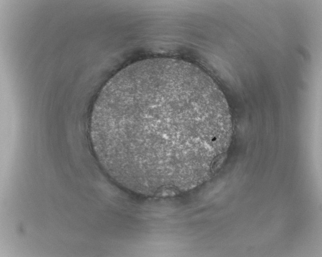 X0000115740817200911251957