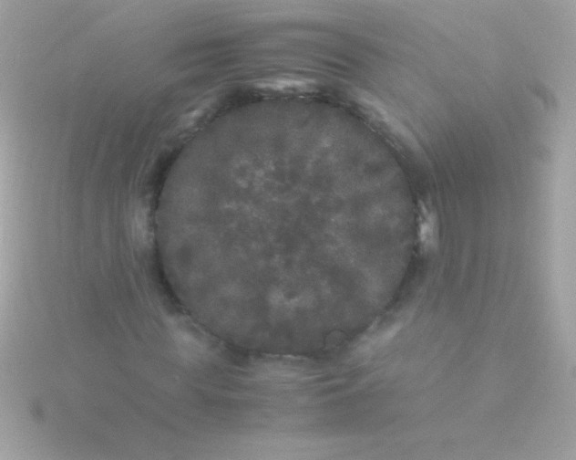 X0000115740819200911251957