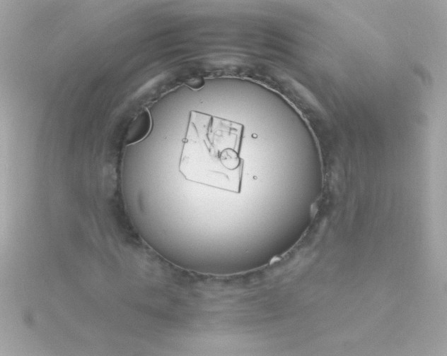 X0000115740821200911251957