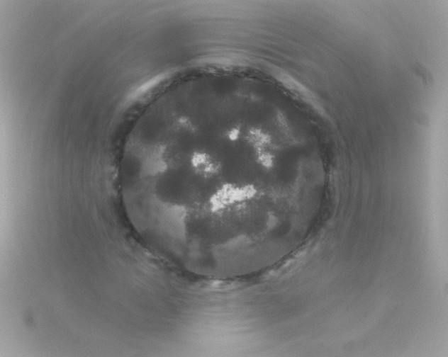 X0000115740822200911251957