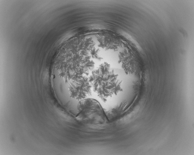 X0000115740825200911251957