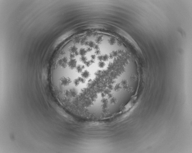 X0000115740826200911251957