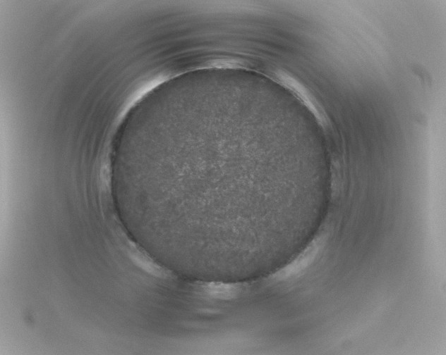 X0000115740827200911251957