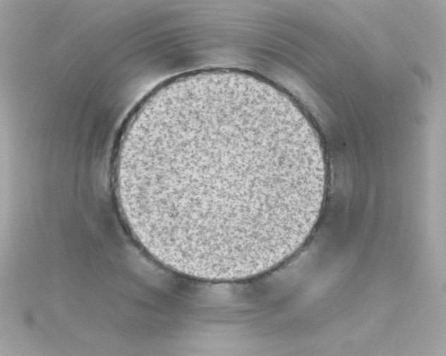 X0000115740828200911251957