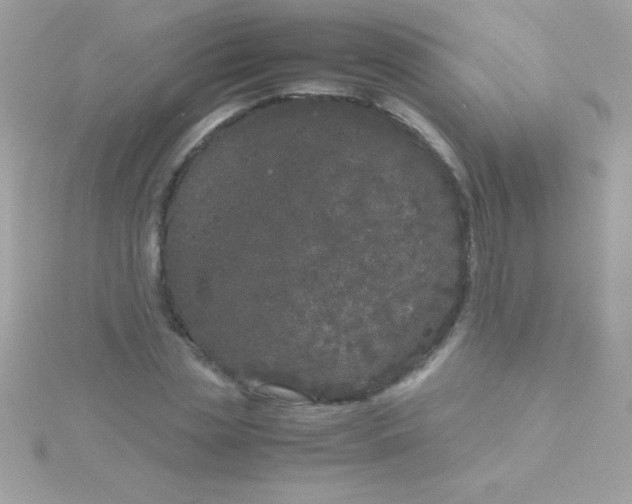 X0000115740829200911251957