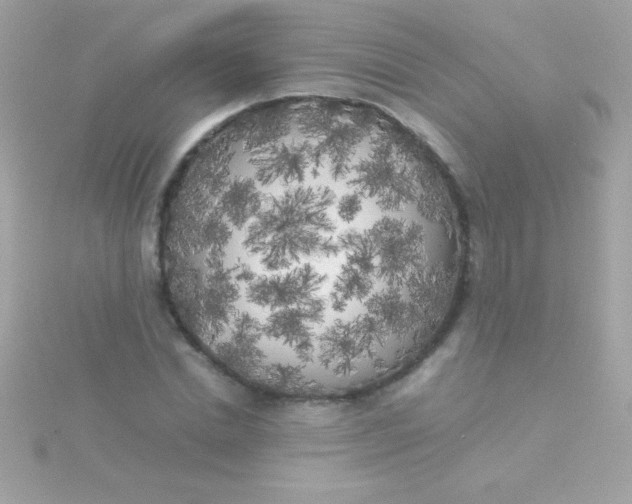 X0000115740830200911251957