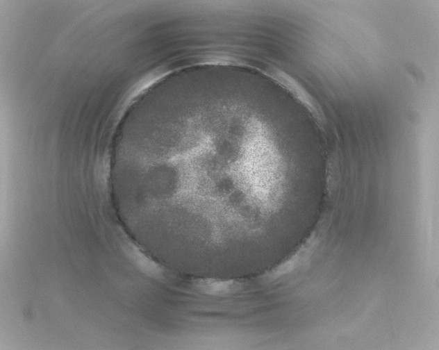 X0000115740831200911251958