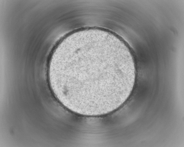 X0000115740832200911251958