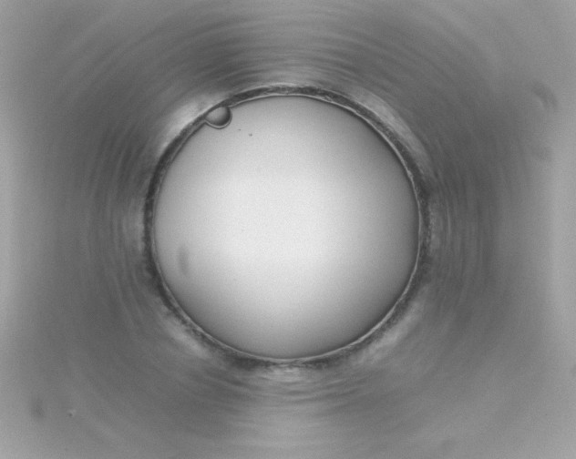 X0000115740834200911251958