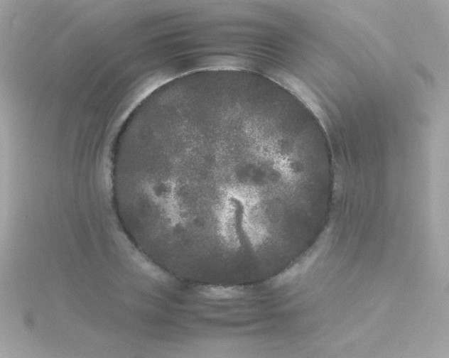 X0000115740835200911251958