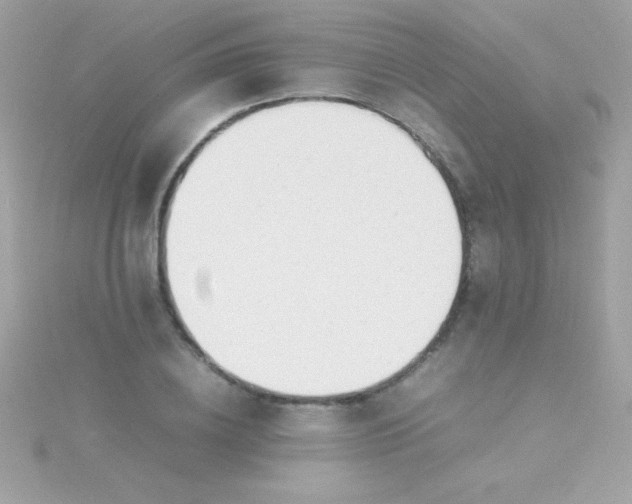 X0000115740836200911251958