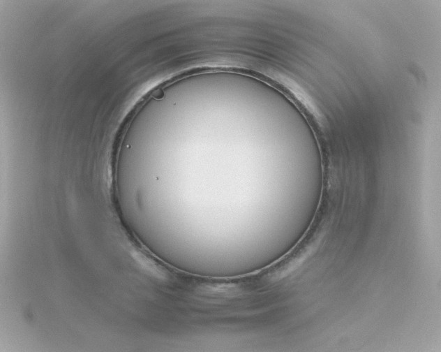 X0000115740837200911251958