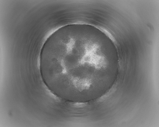 X0000115740839200911251958