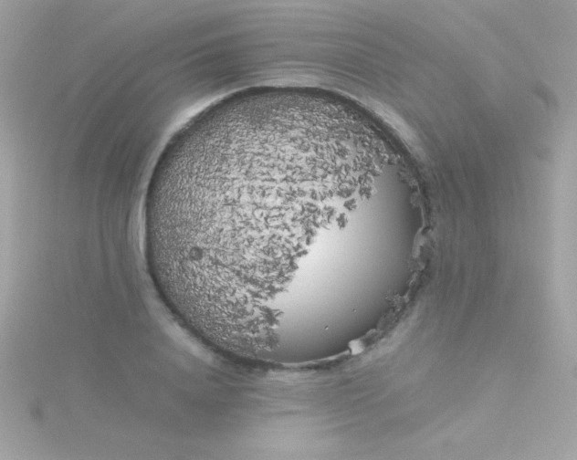 X0000115740840200911251958