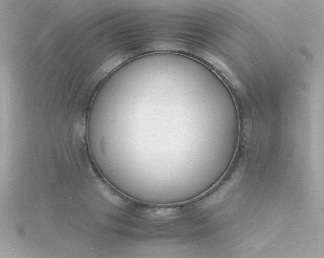 X0000115740841200911251958