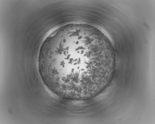 X0000115740845200911251958