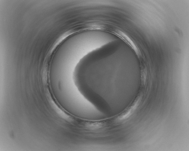 X0000115740851200911251958