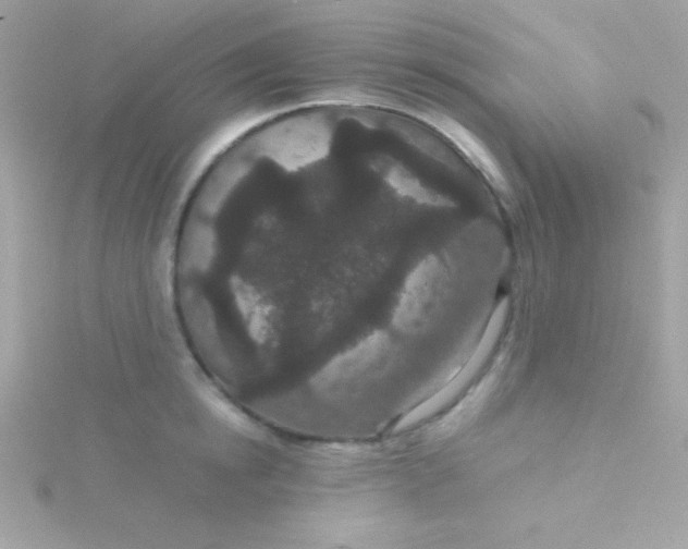 X0000115740854200911251958