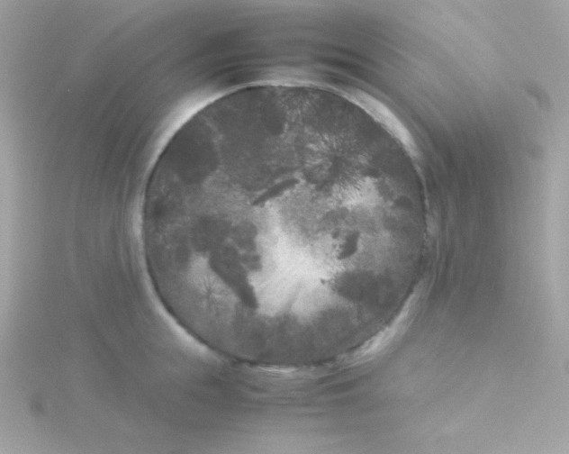 X0000115740855200911251958