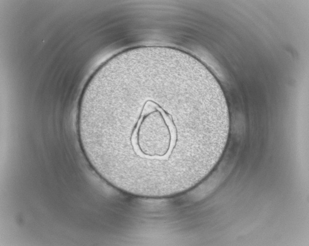 X0000115740856200911251958