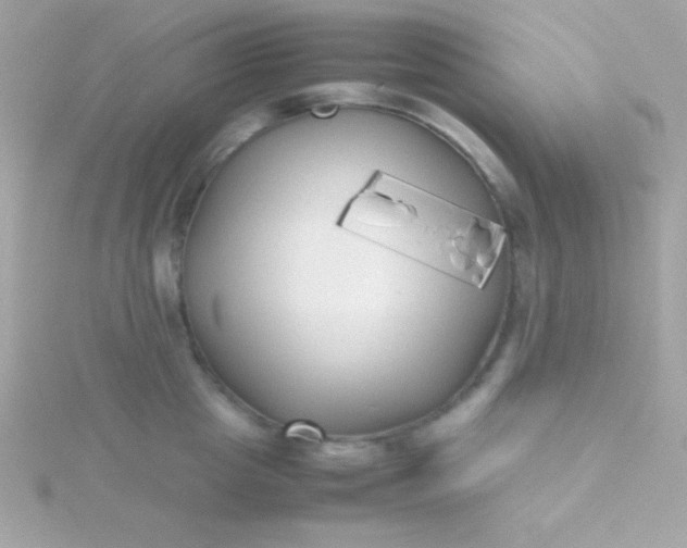 X0000115740857200911251958