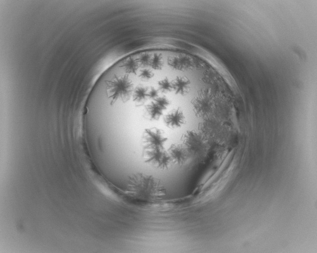 X0000115740858200911251958