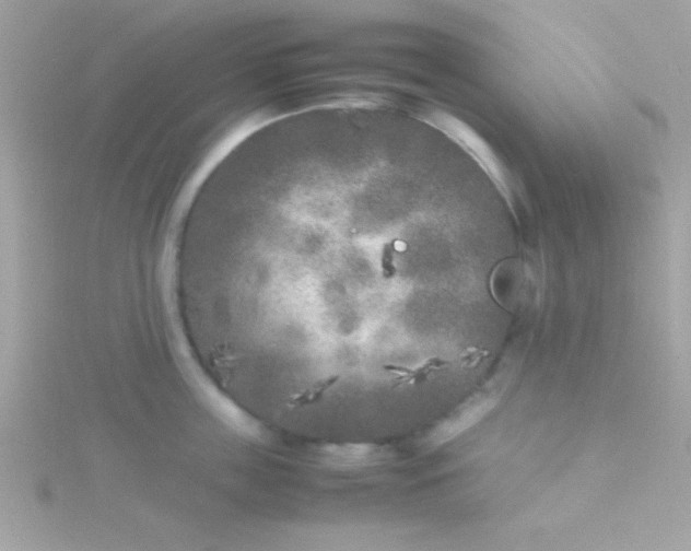 X0000115740859200911251958