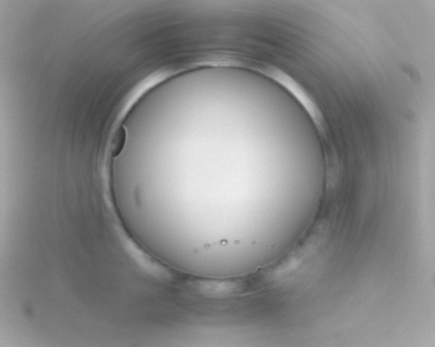 X0000115740861200911251958