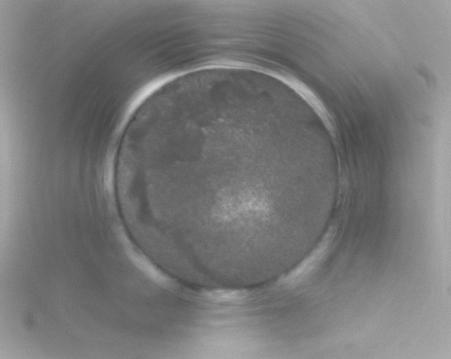 X0000115740862200911251958