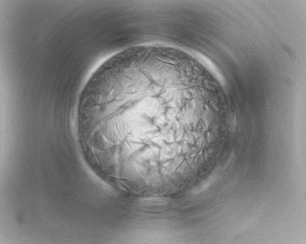 X0000115740863200911251958