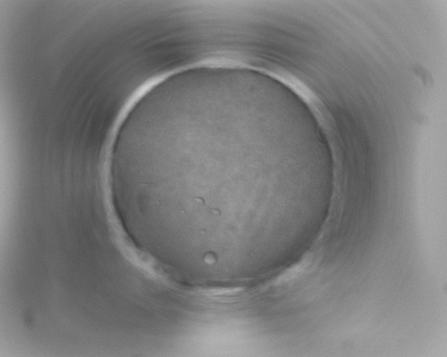 X0000115740864200911251958