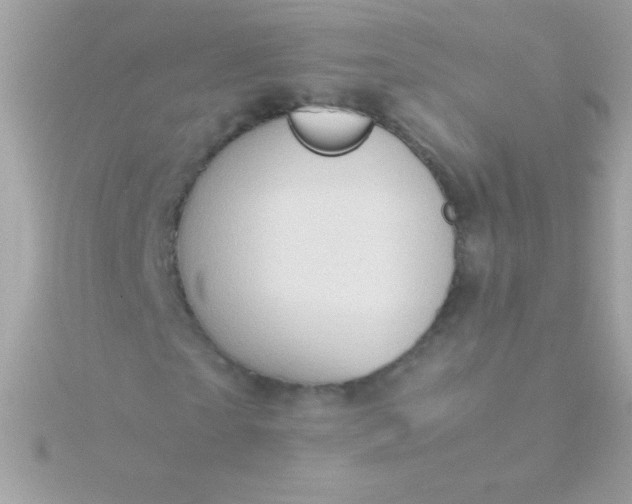 X0000115740865200911251957