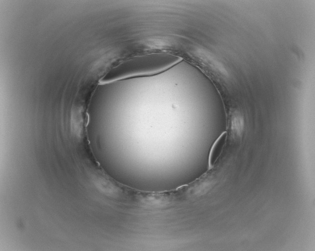 X0000115740868200911251957