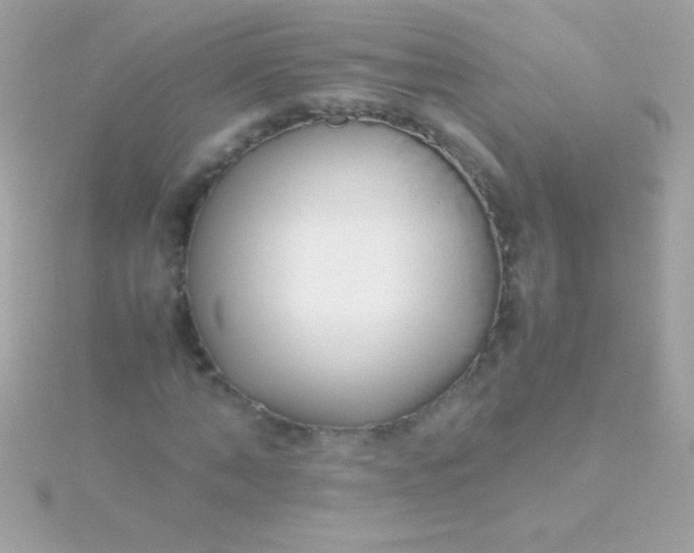 X0000115740870200911251957