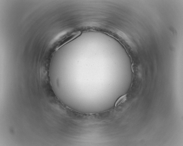 X0000115740872200911251957