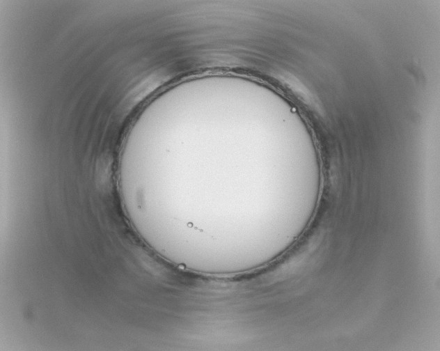 X0000115740873200911251957