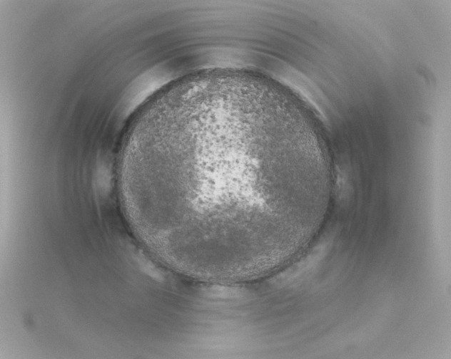 X0000115740874200911251957