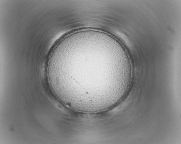 X0000115740875200911251957