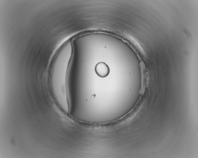 X0000115740876200911251957