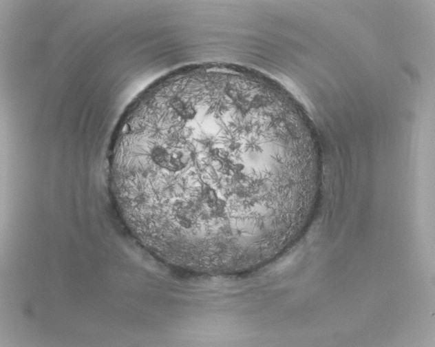 X0000115740879200911251957