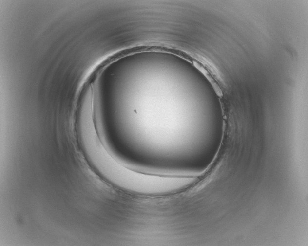 X0000115740880200911251957