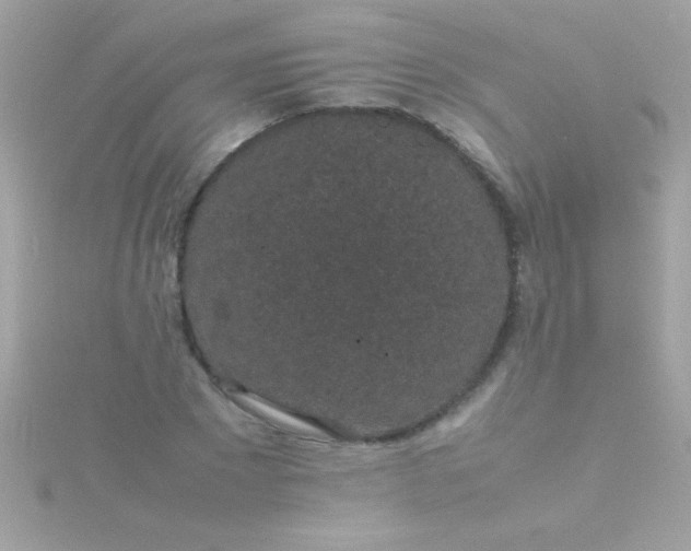 X0000115740881200911251957