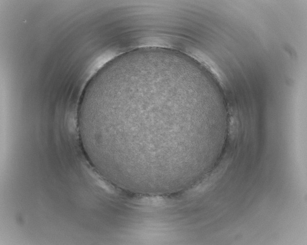 X0000115740882200911251957