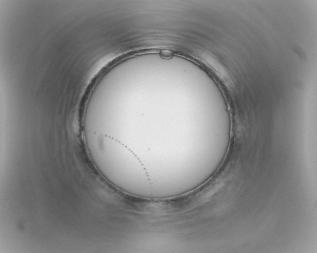 X0000115740883200911251957