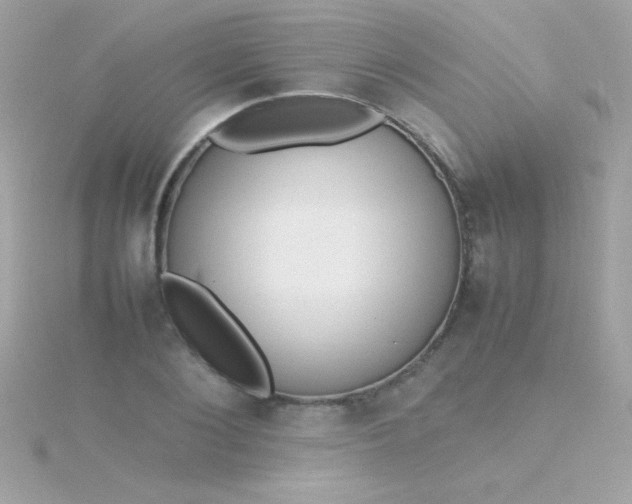 X0000115740884200911251957