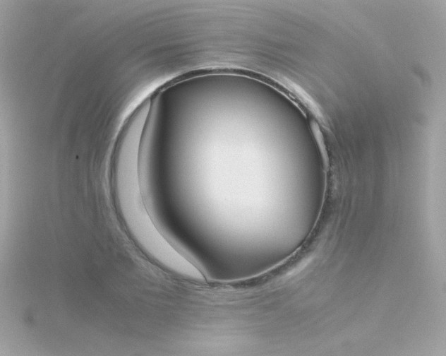 X0000115740885200911251957