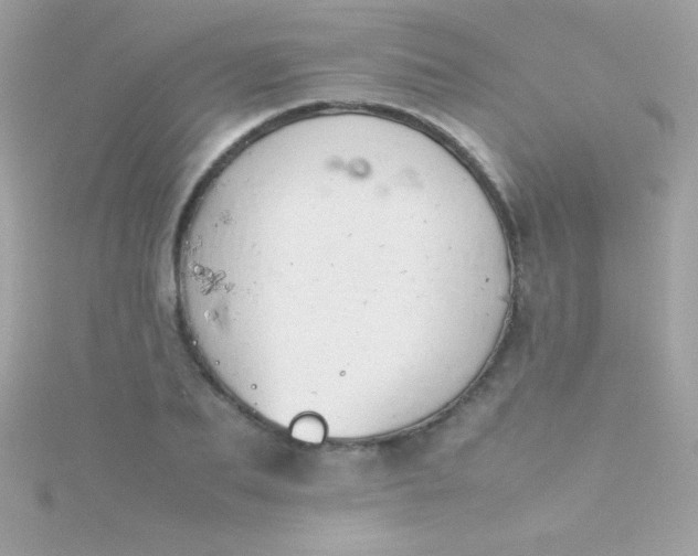 X0000115740887200911251957