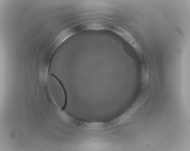 X0000115740889200911251957