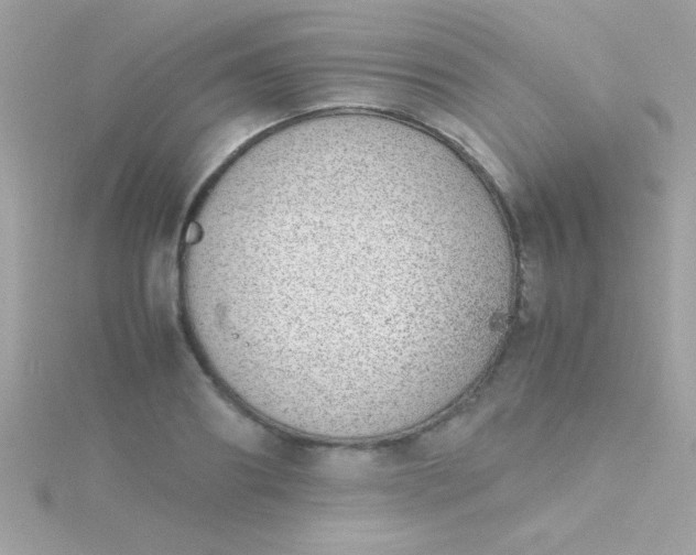 X0000115740890200911251957